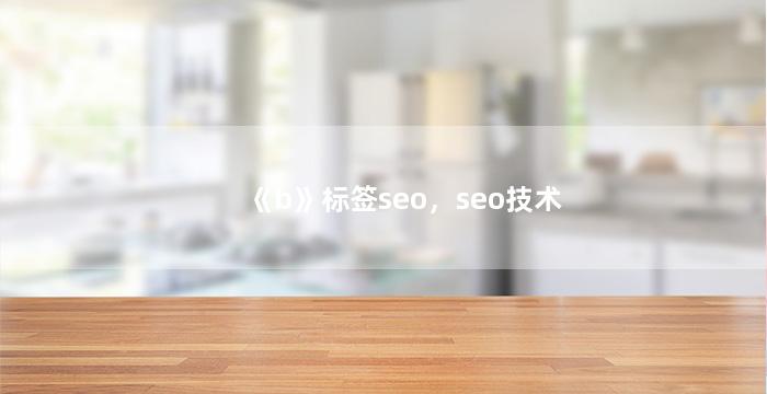 《b》标签seo，seo技术